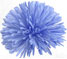 Baby Blue Pompom