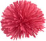 Coral Pompom