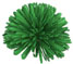 Emerald Pompom