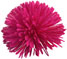 Hot Pink Pompom