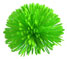 Limegreen Pompom