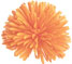 Peach Pompom