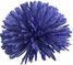 Periwinkle Pompom