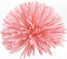 Pink Pompom