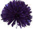 Purple Pompom