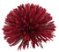 red Pompom