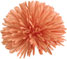 Tangerine Pompom