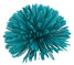 Turquoise Pompom