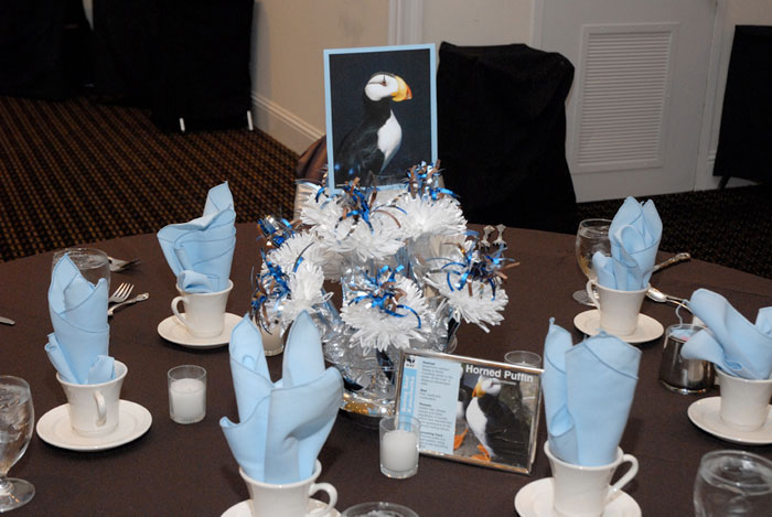 Aaron’s Bar Mitzvah Centerpieces Which Included Cards With Photos And Facts About Various Animals.